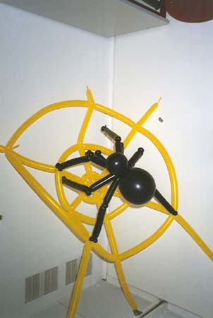 balloon spider